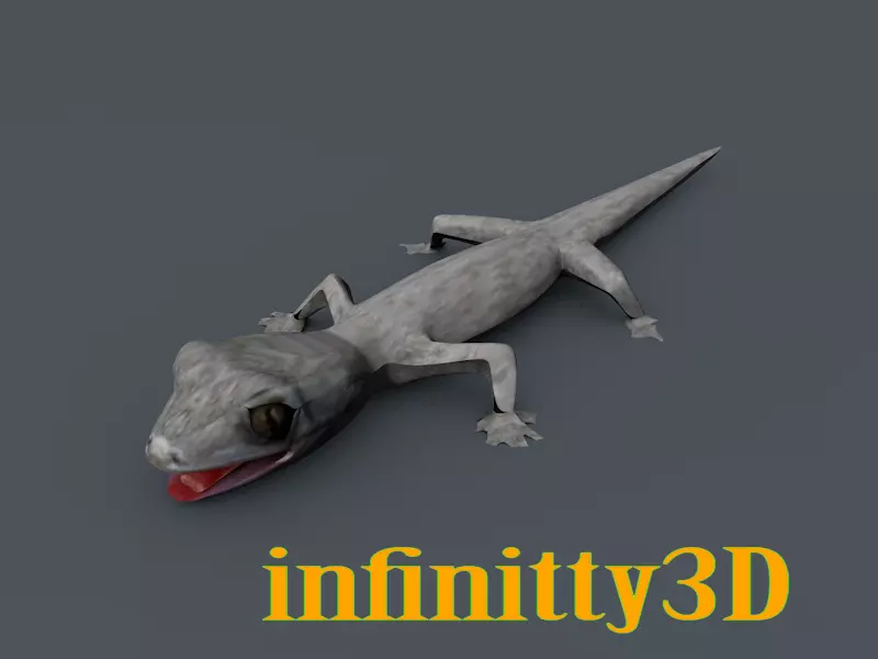 Gecko  Low-poly 3D model_0