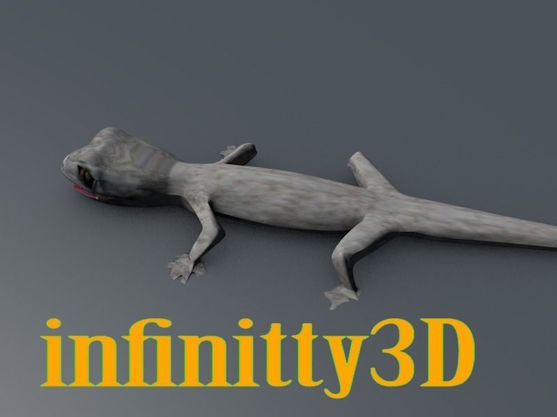 Gecko  Low-poly 3D model_1