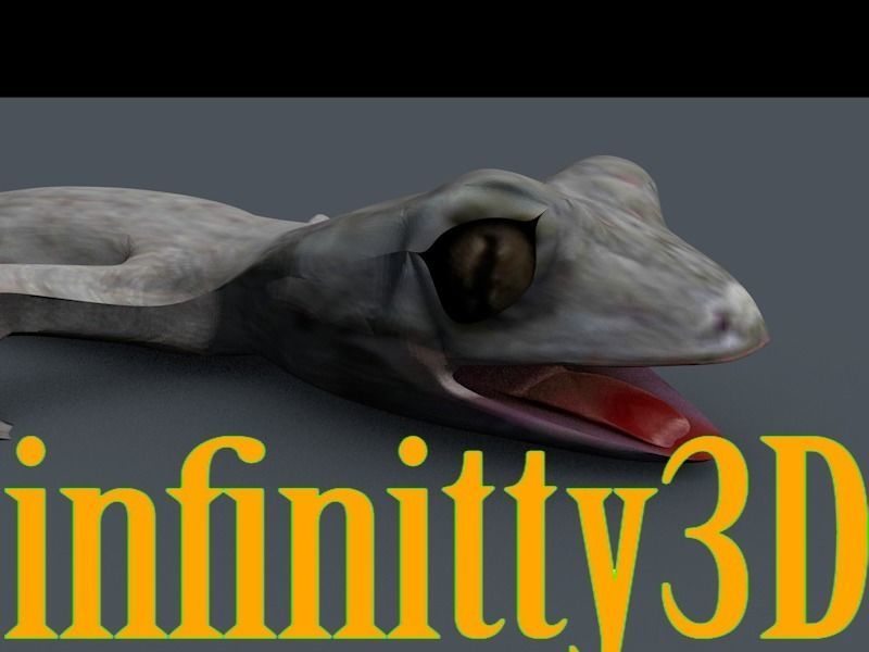 Gecko  Low-poly 3D model_2