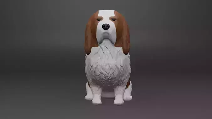 Spaniel dog 3d model
