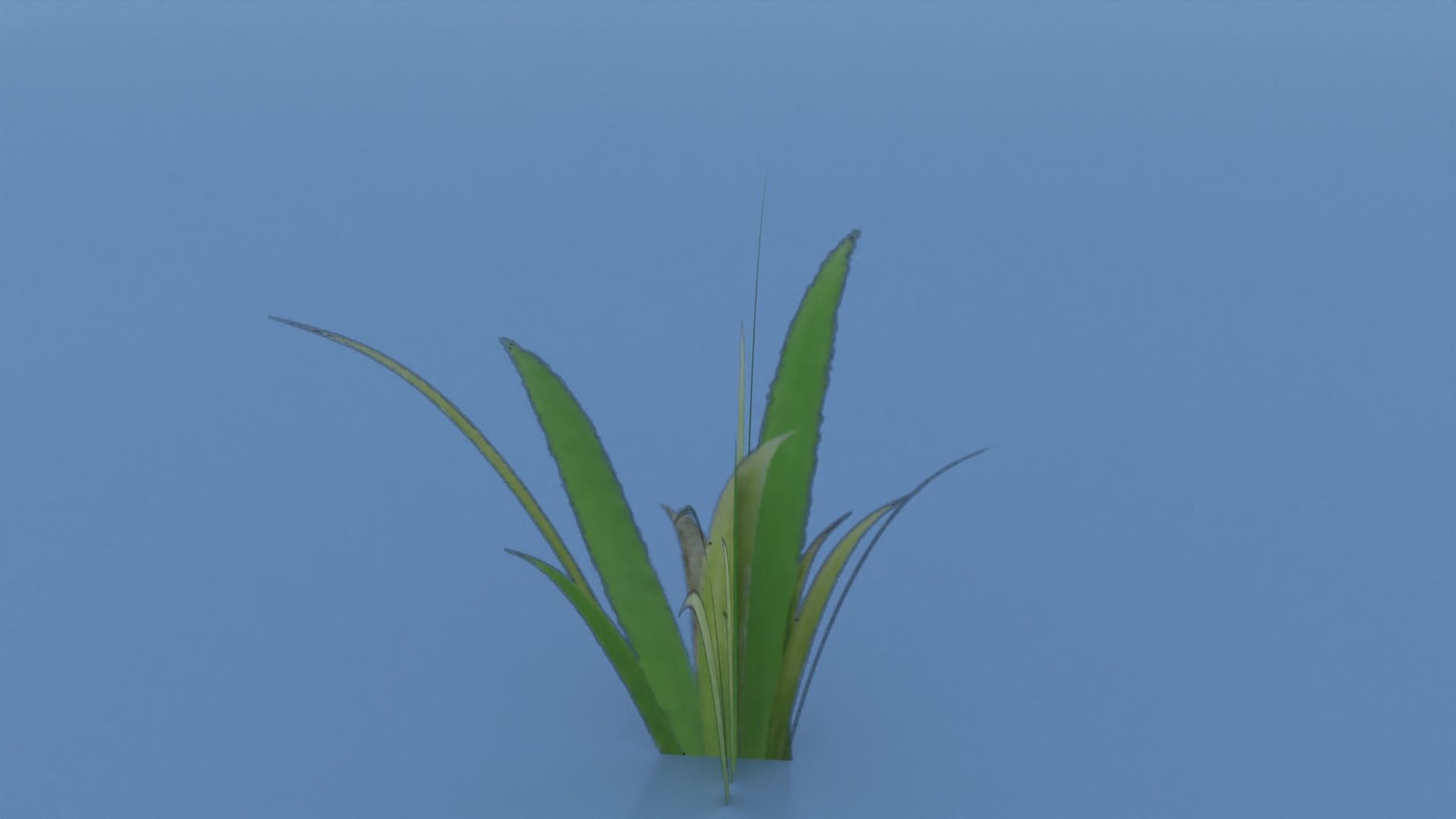 Stylized Grass Pack 01 Low-poly 3D model_29
