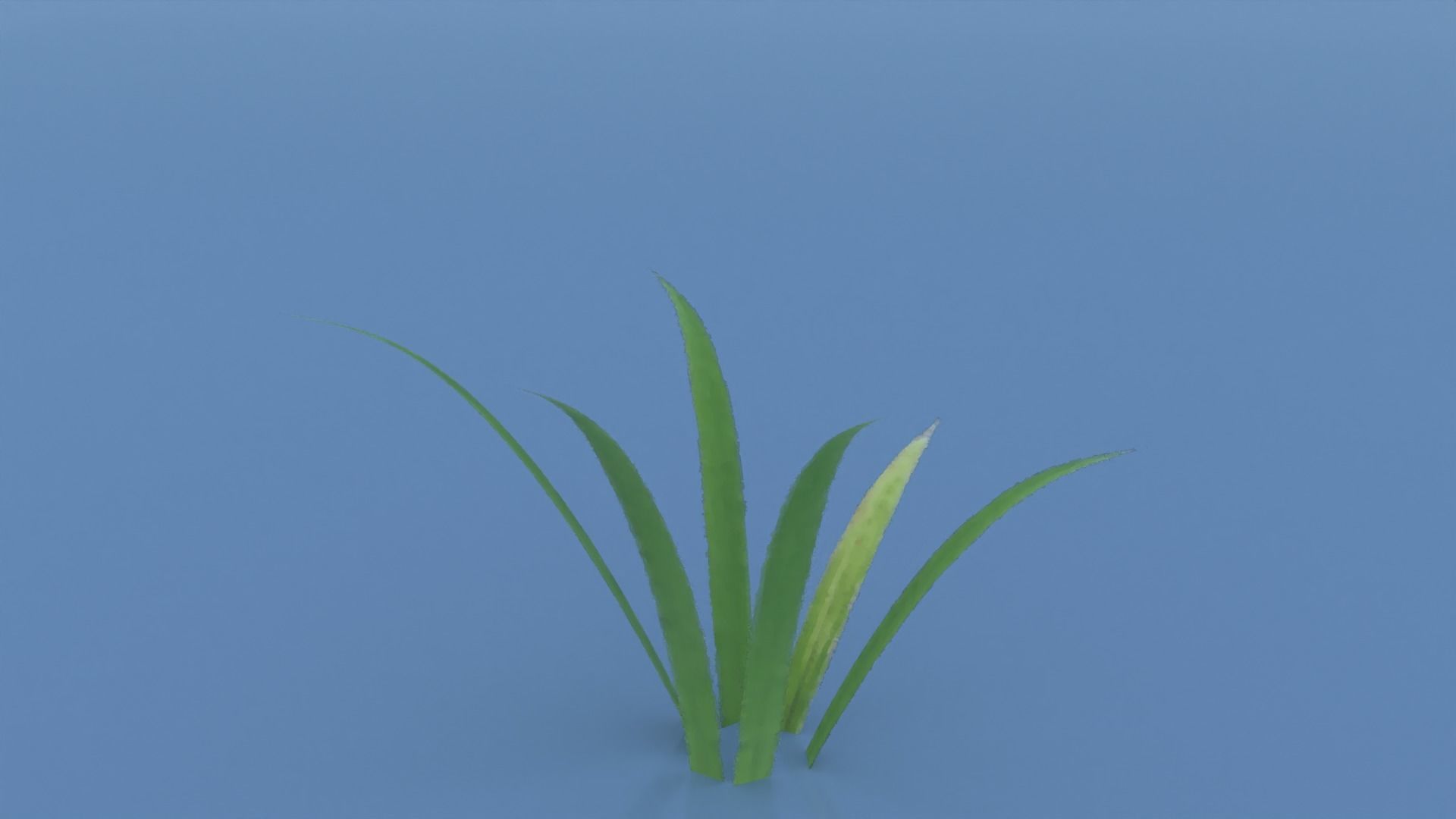 Stylized Grass Pack 01 Low-poly 3D model_12