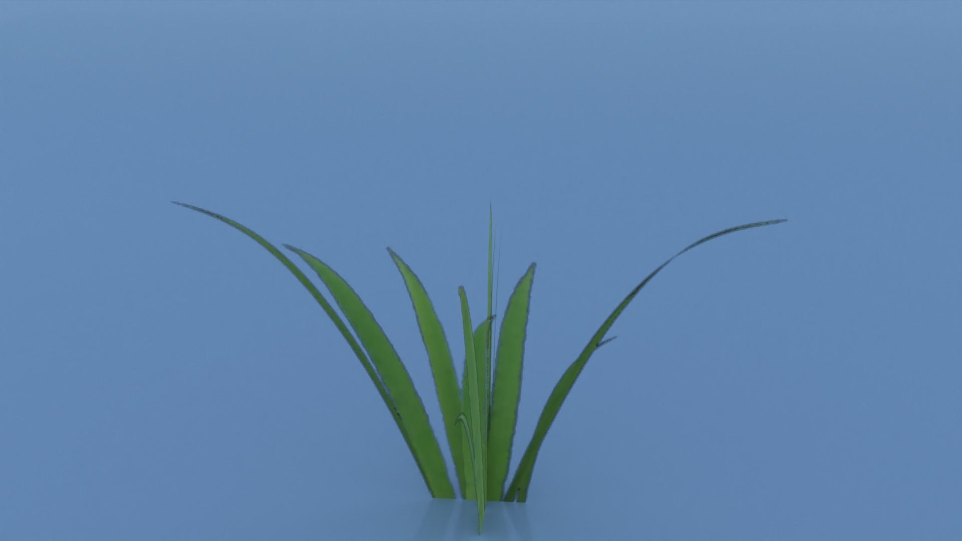 Stylized Grass Pack 01 Low-poly 3D model_23