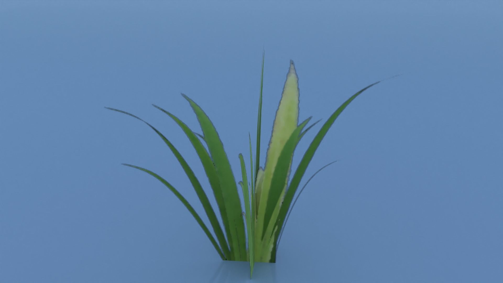 Stylized Grass Pack 01 Low-poly 3D model_19