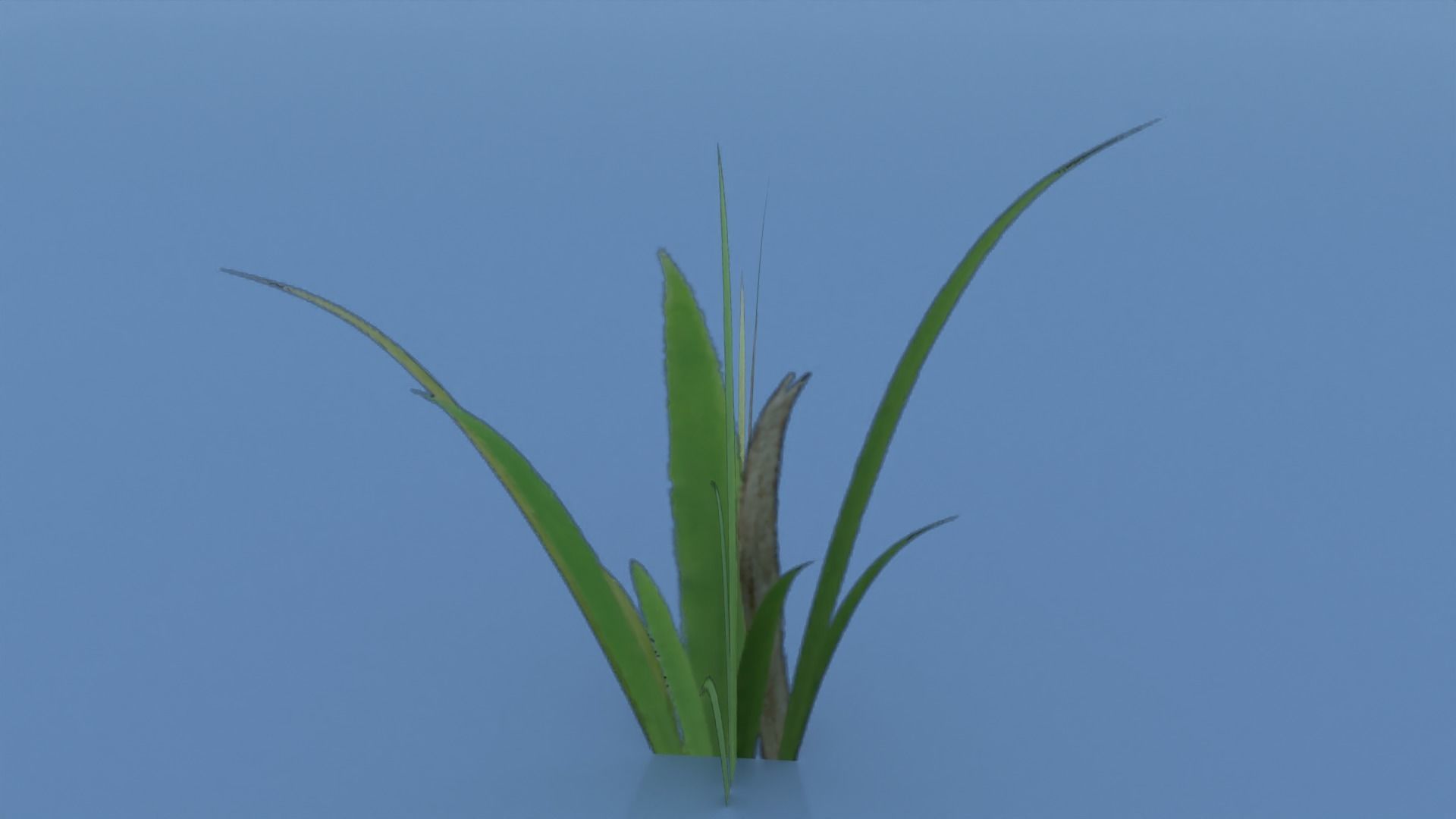 Stylized Grass Pack 01 Low-poly 3D model_24