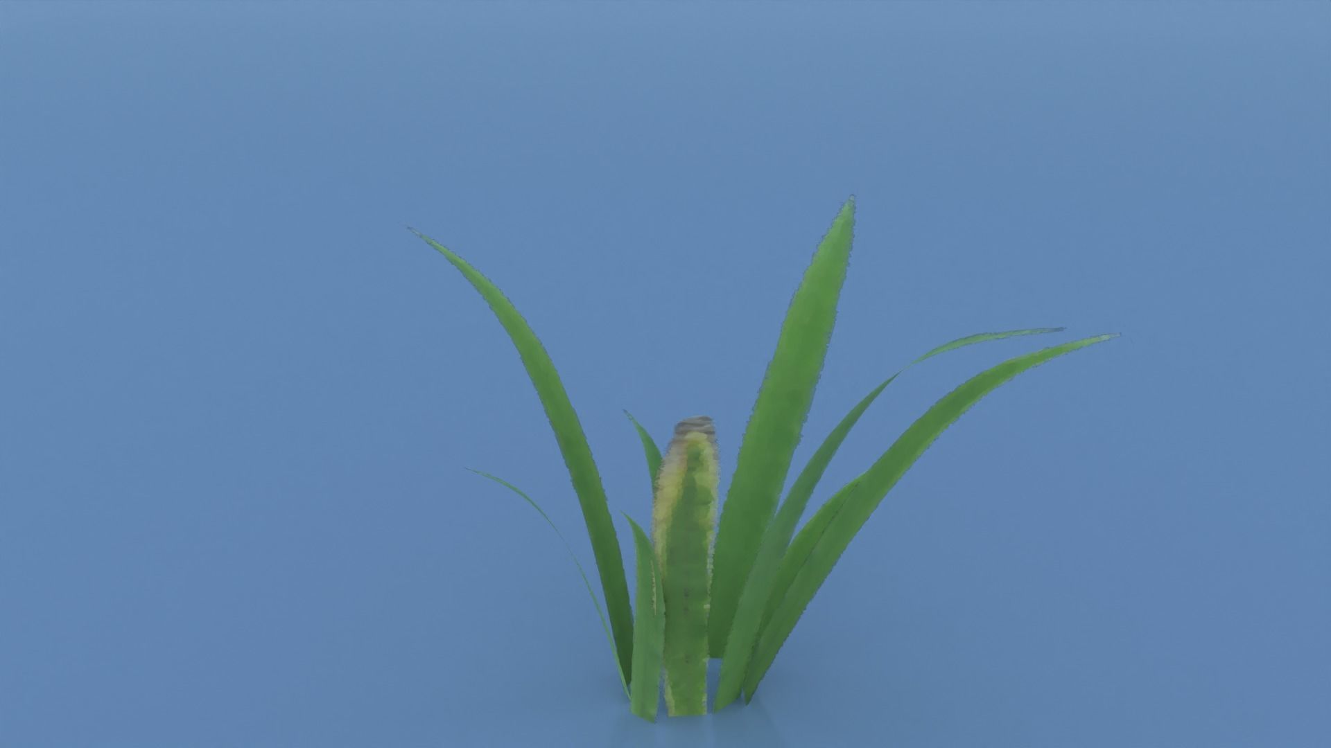 Stylized Grass Pack 01 Low-poly 3D model_5