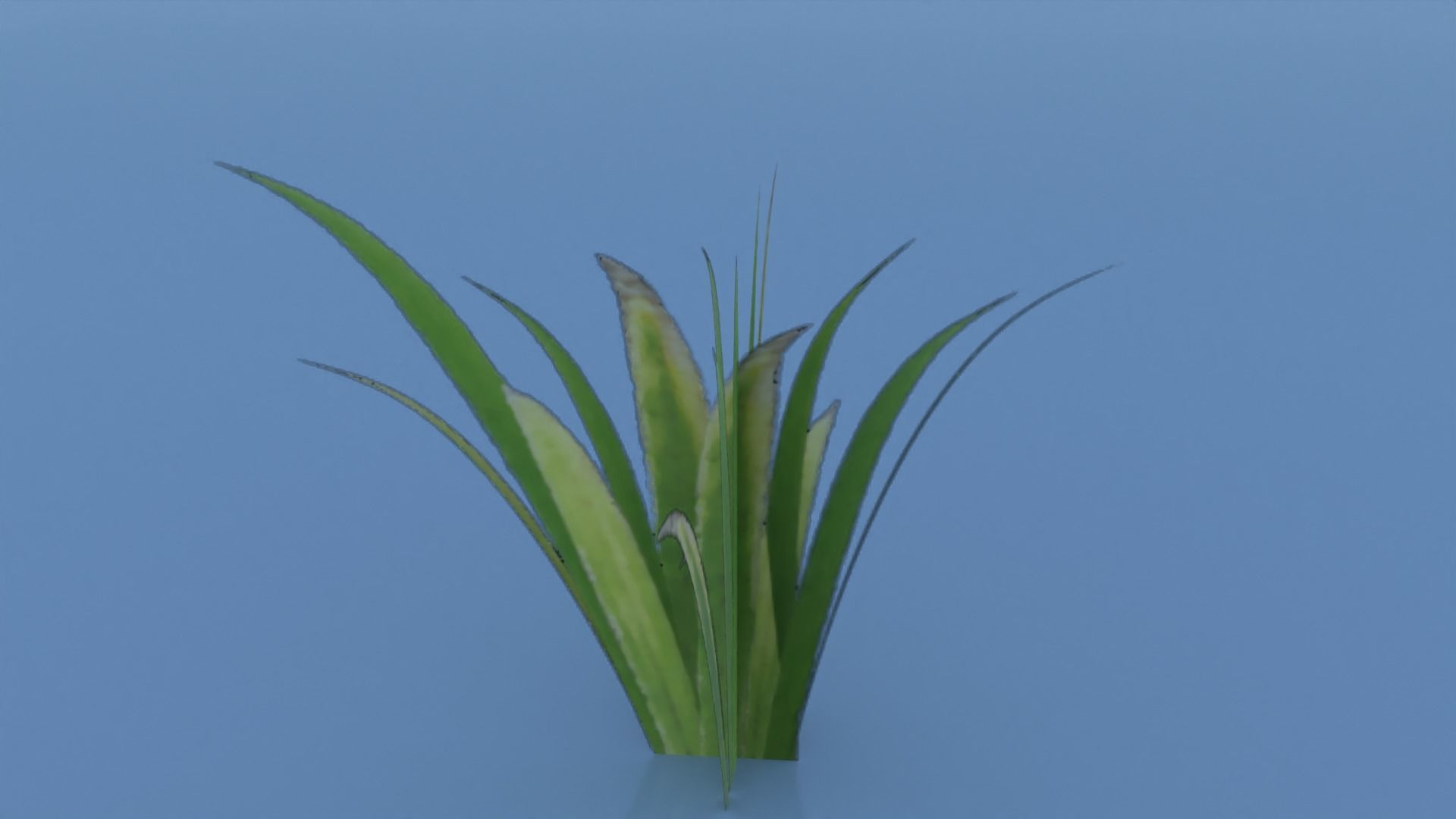 Stylized Grass Pack 01 Low-poly 3D model_22