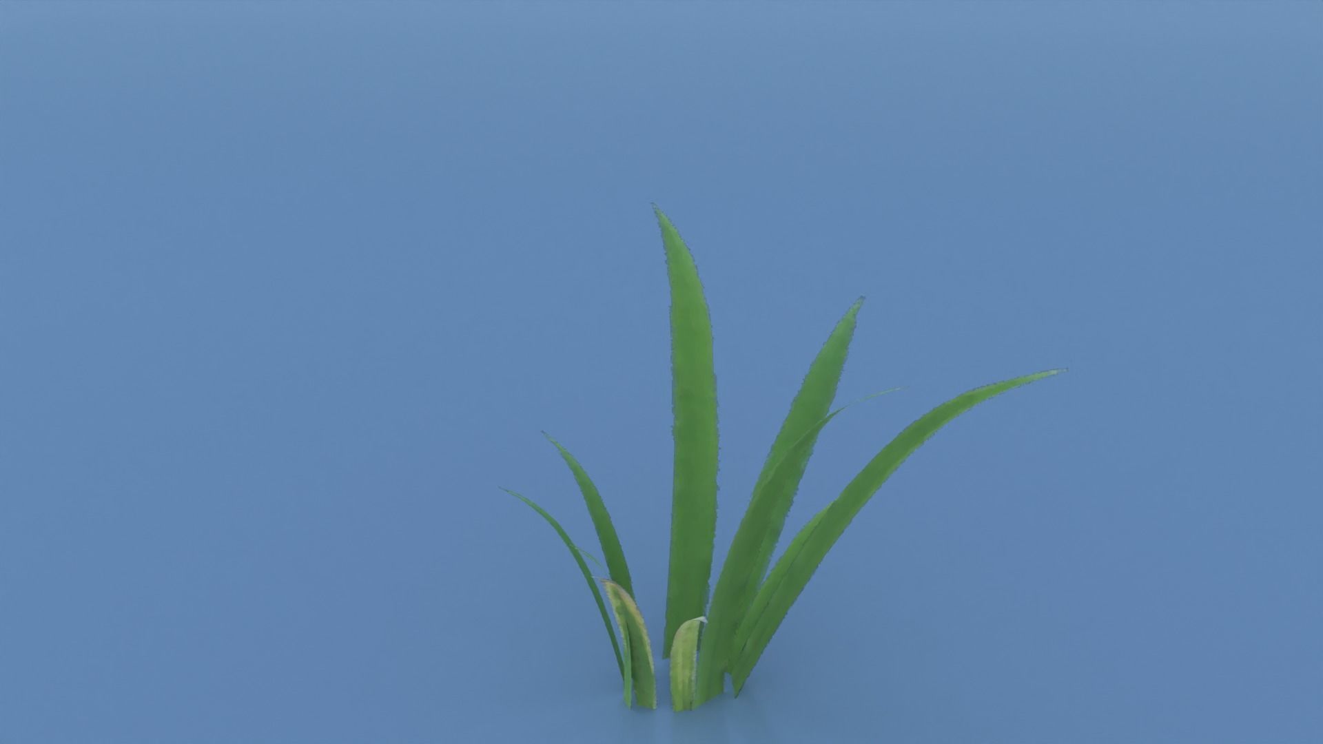 Stylized Grass Pack 01 Low-poly 3D model_14