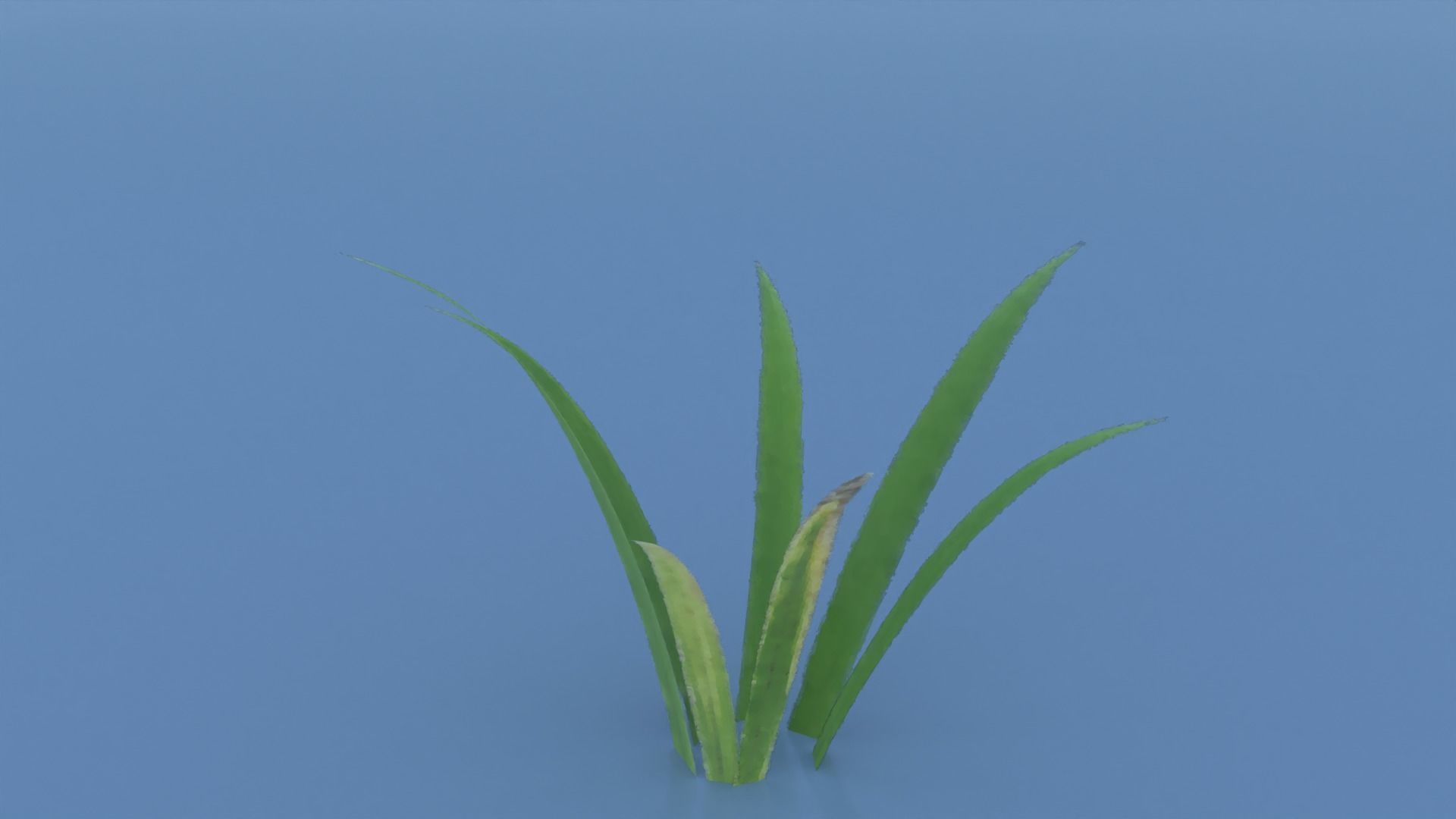 Stylized Grass Pack 01 Low-poly 3D model_11