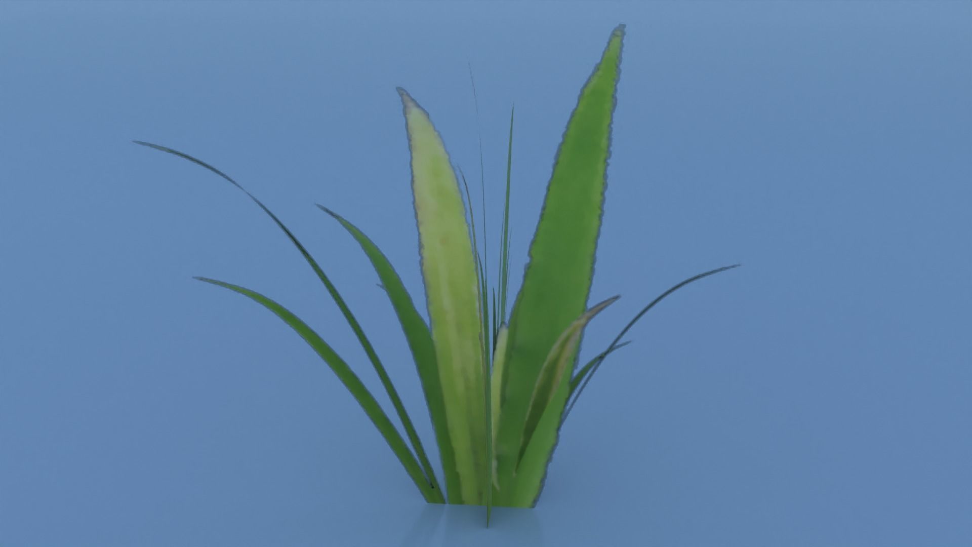 Stylized Grass Pack 01 Low-poly 3D model_25