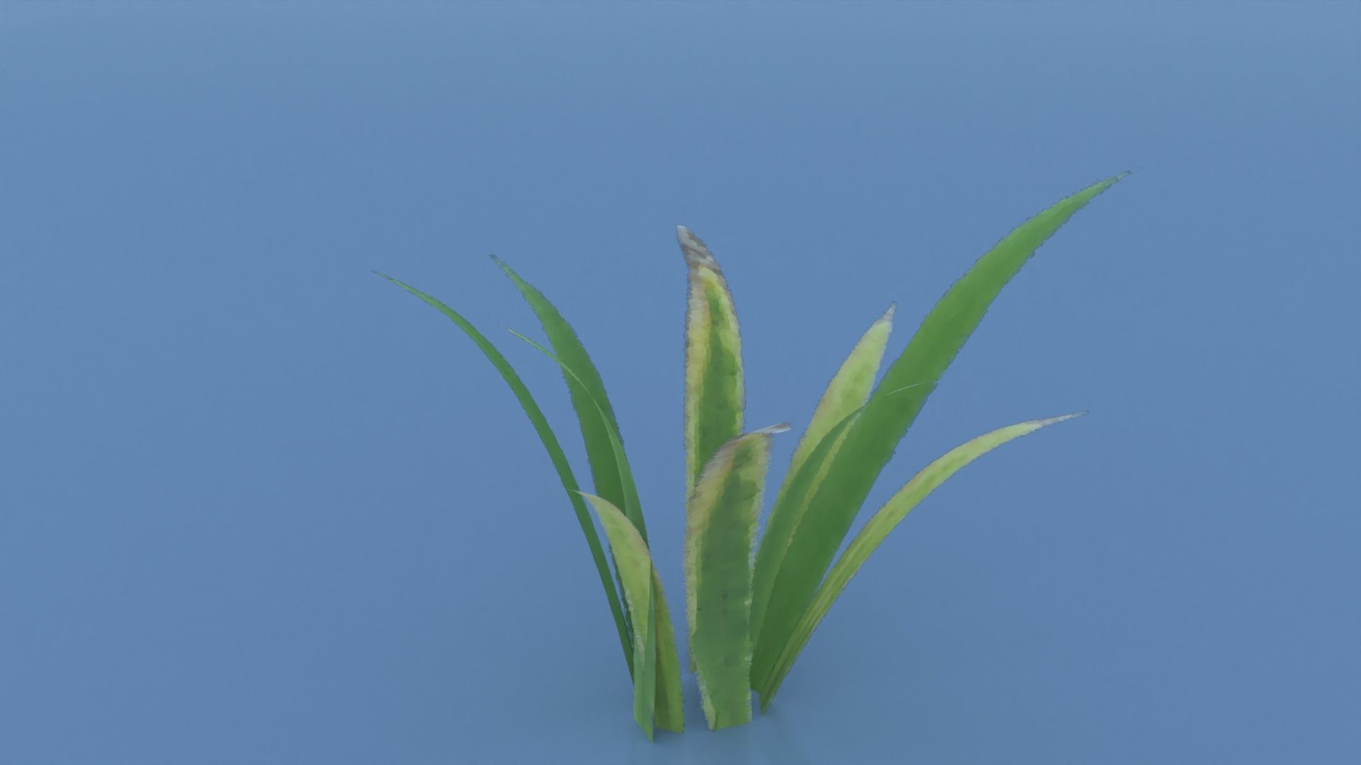 Stylized Grass Pack 01 Low-poly 3D model_6