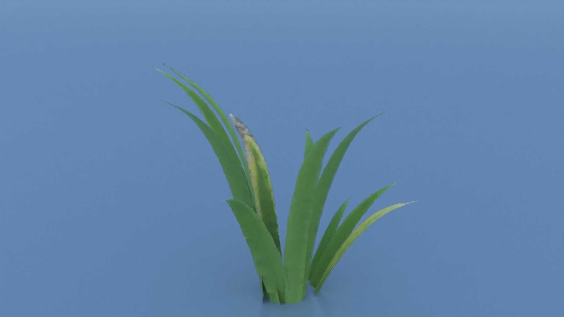 Stylized Grass Pack 01 Low-poly 3D model_2