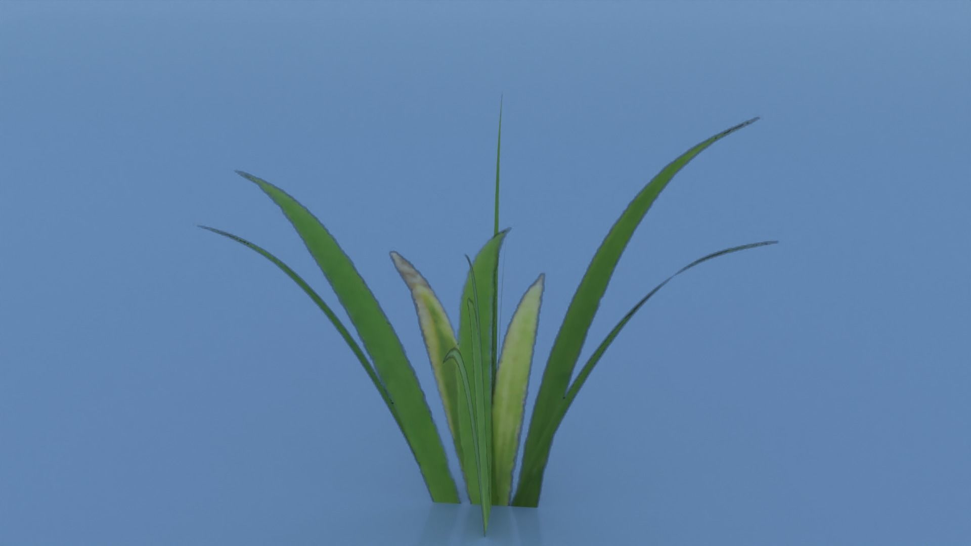Stylized Grass Pack 01 Low-poly 3D model_27