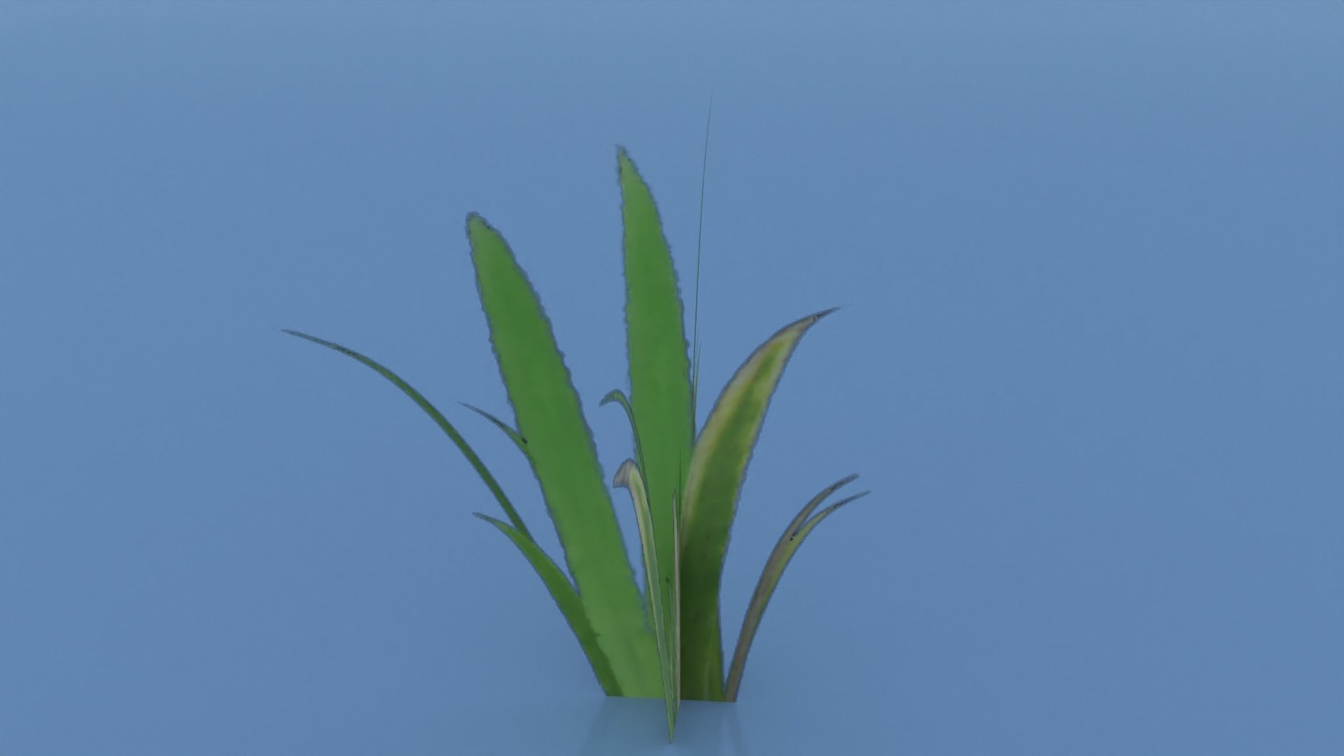 Stylized Grass Pack 01 Low-poly 3D model_26