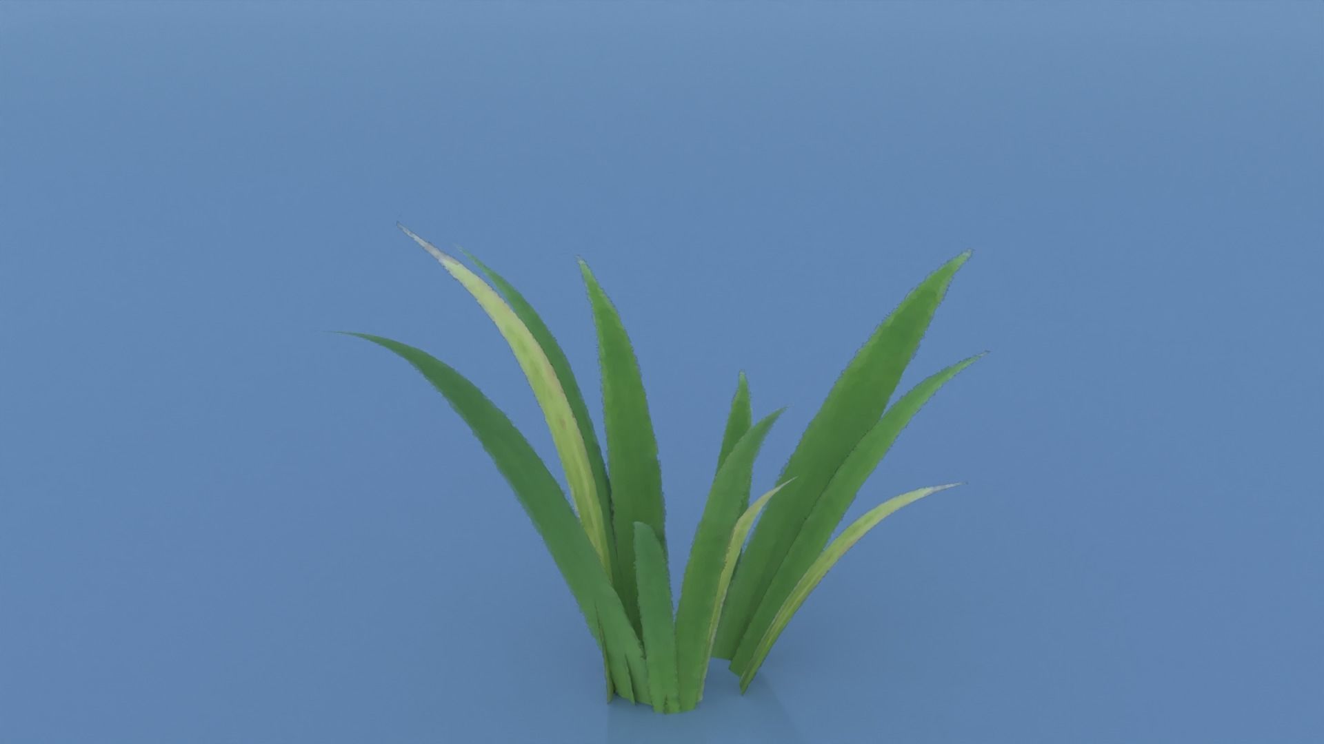 Stylized Grass Pack 01 Low-poly 3D model_3