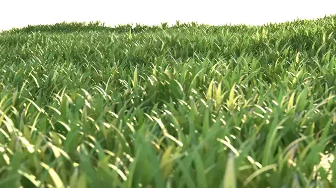 Stylized Grass Pack 01 Low-poly 3D model
