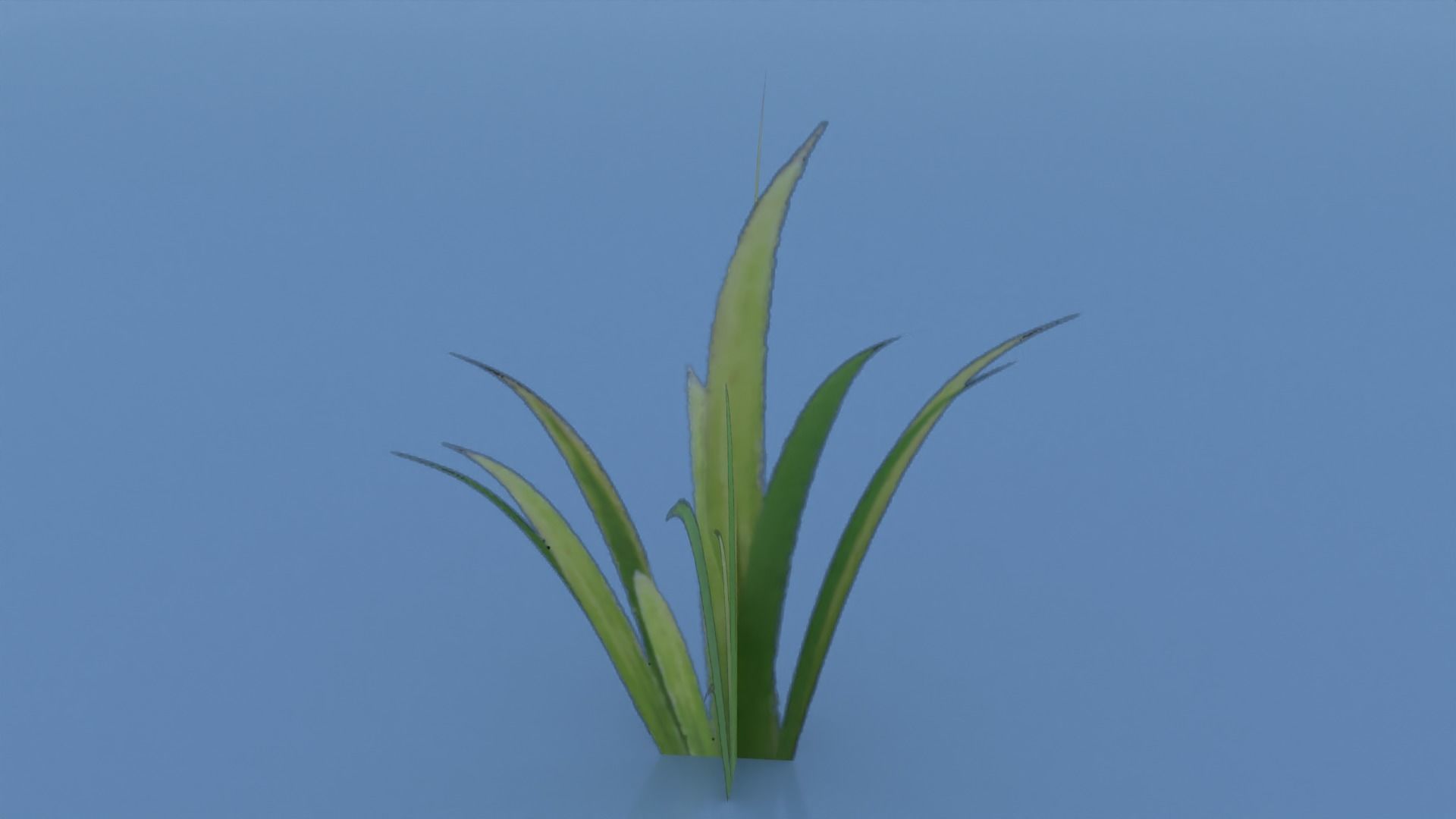 Stylized Grass Pack 01 Low-poly 3D model_33