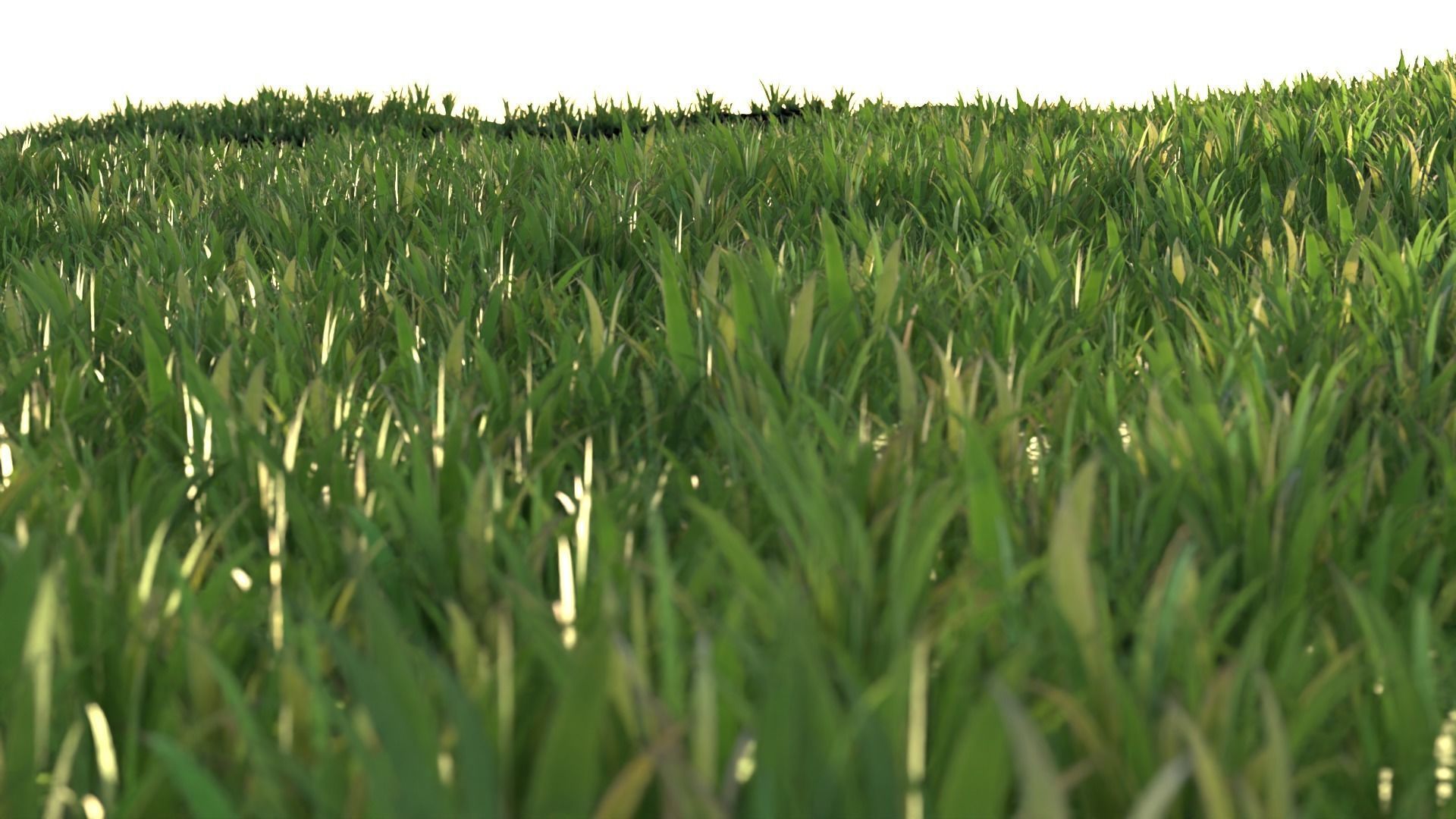 Stylized Grass Pack 01 Low-poly 3D model_1