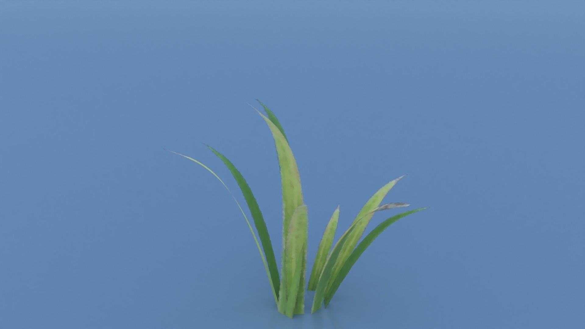 Stylized Grass Pack 01 Low-poly 3D model_17