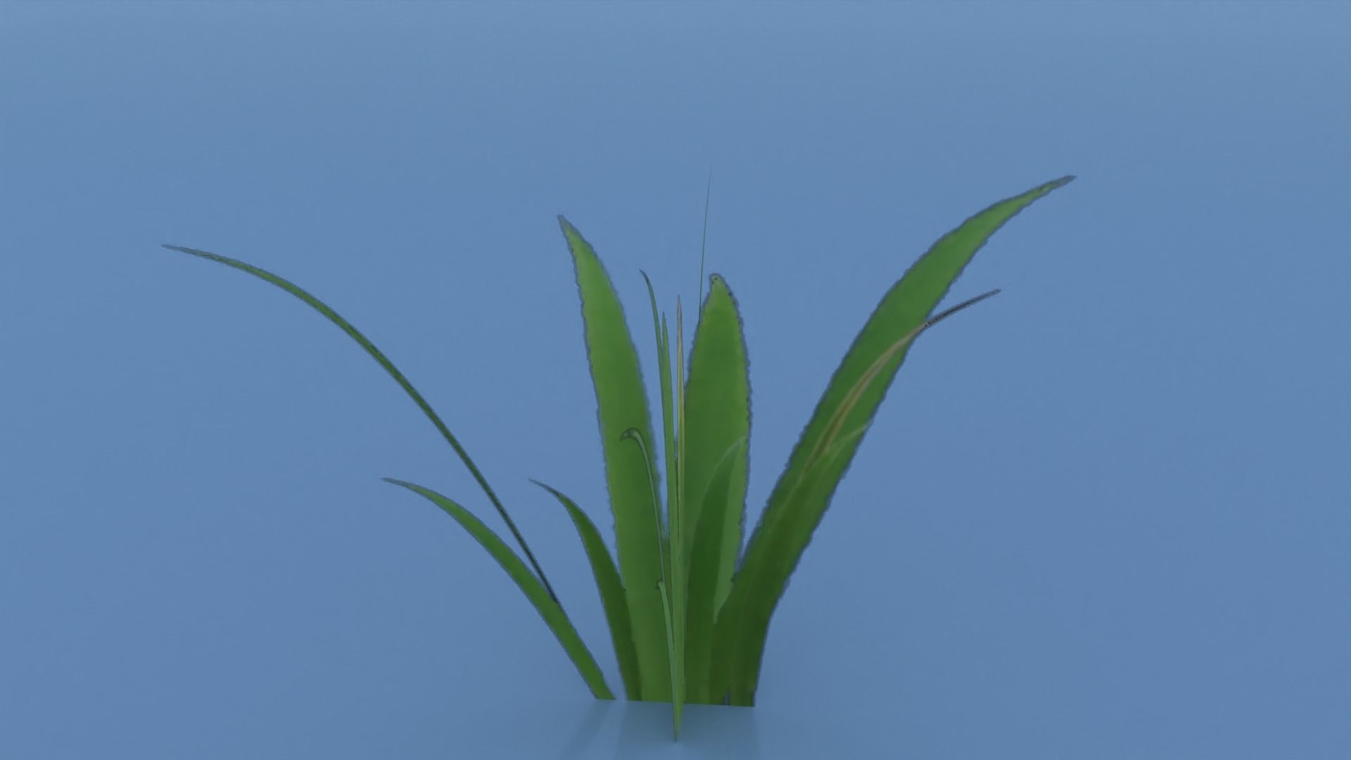 Stylized Grass Pack 01 Low-poly 3D model_21