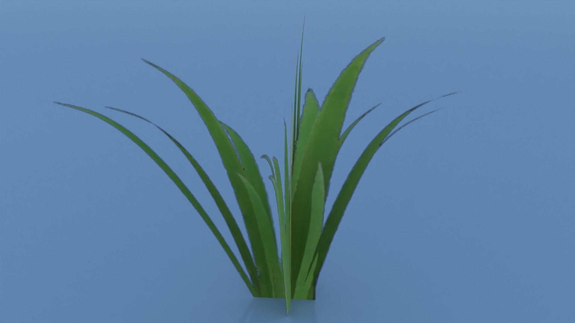 Stylized Grass Pack 01 Low-poly 3D model_20