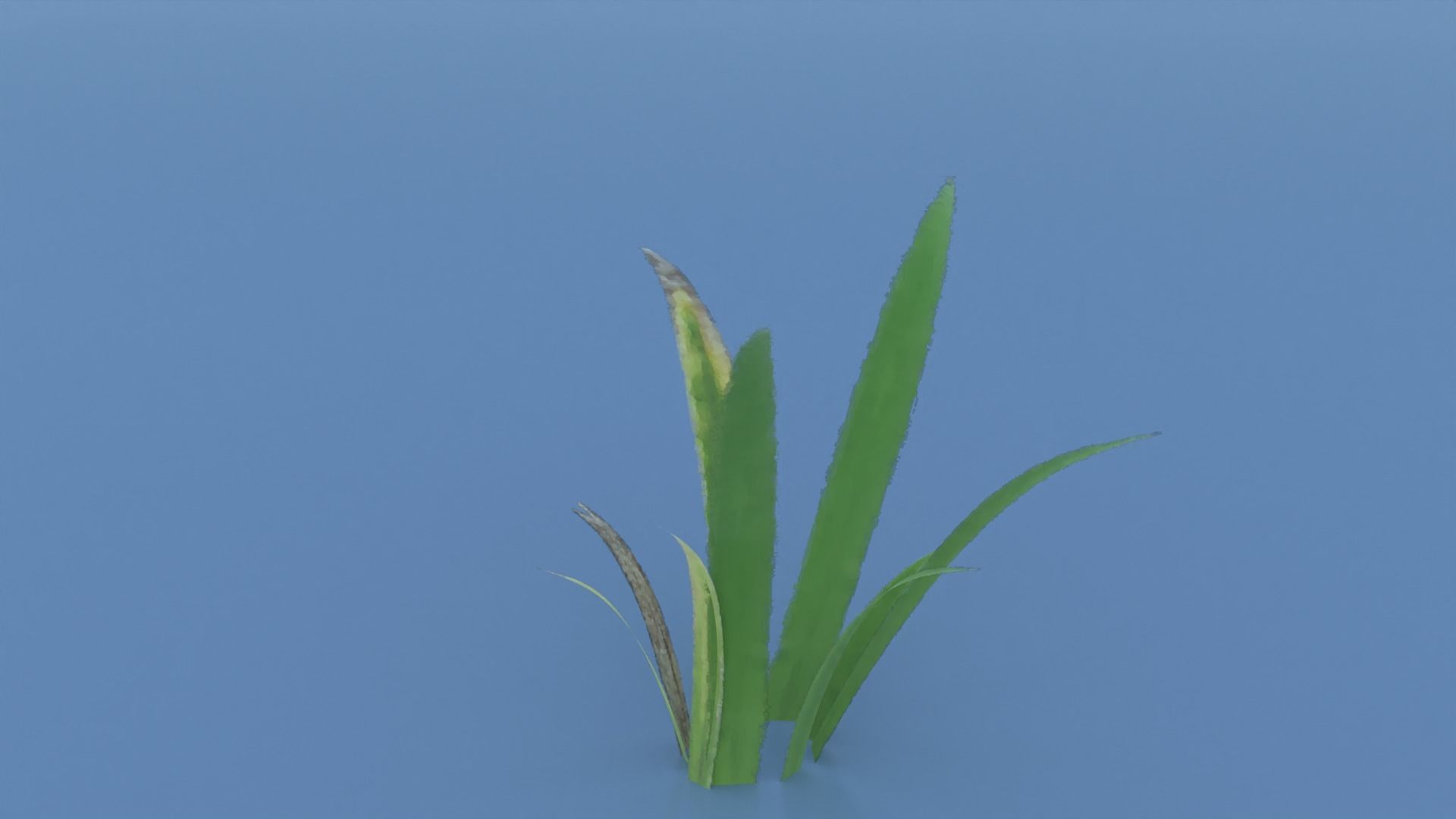 Stylized Grass Pack 01 Low-poly 3D model_10