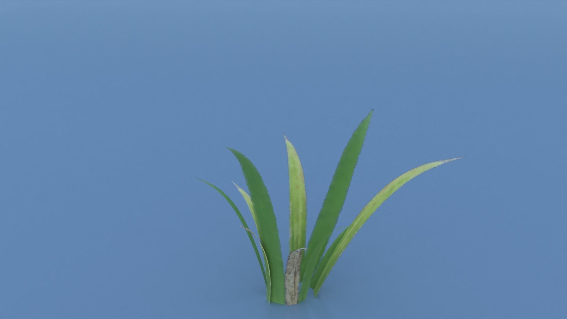 Stylized Grass Pack 01 Low-poly 3D model_13