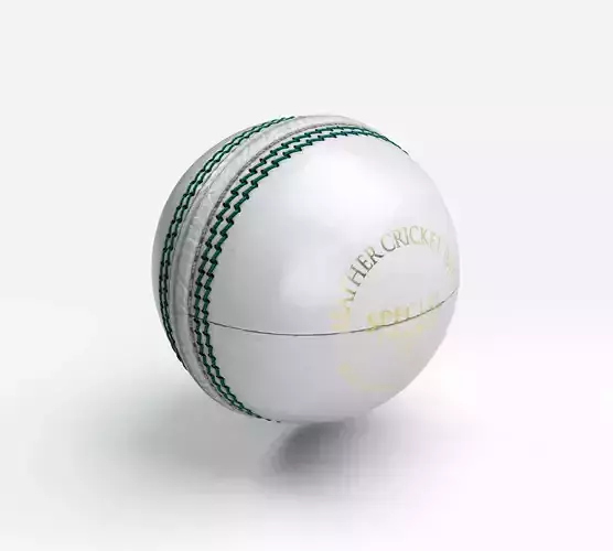 Cricket Ball White