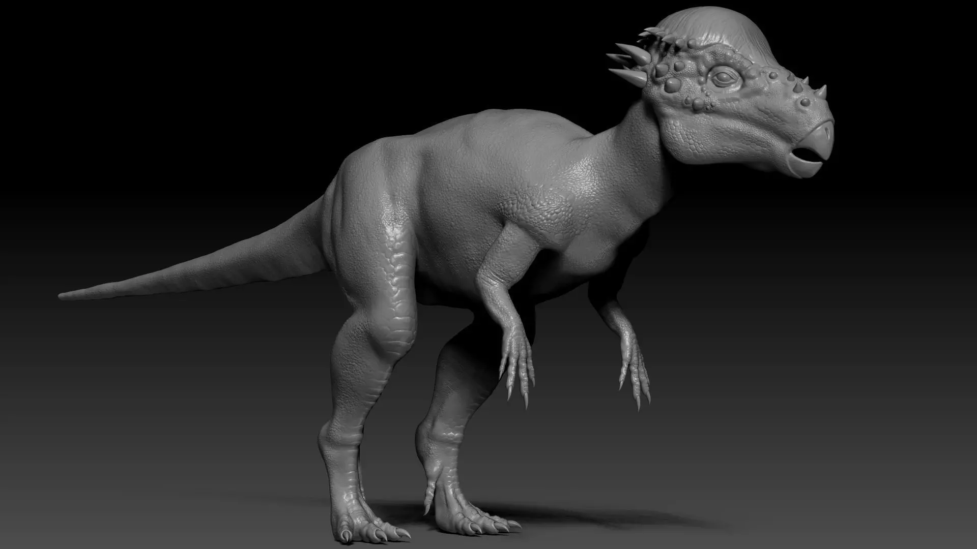 Dinosaur Pachycephalosaurus Sculpt Project 3D model_0