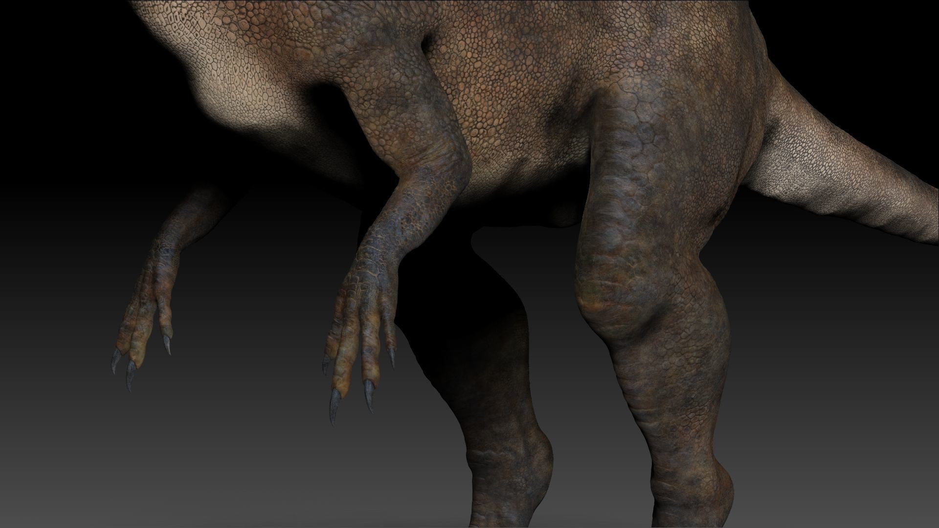 Dinosaur Pachycephalosaurus Sculpt Project 3D model_14