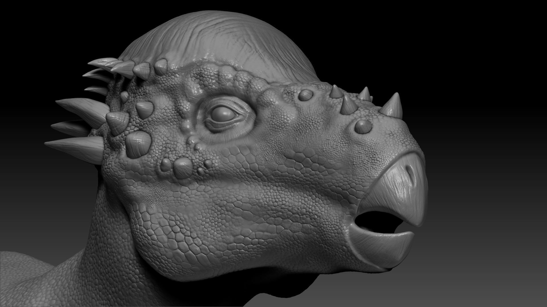 Dinosaur Pachycephalosaurus Sculpt Project 3D model_5