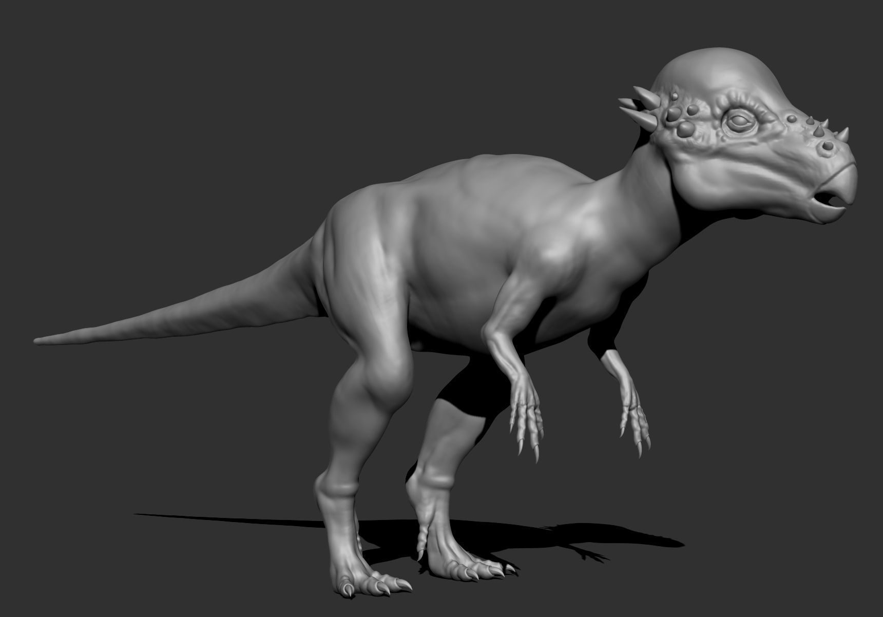Dinosaur Pachycephalosaurus Sculpt Project 3D model_10