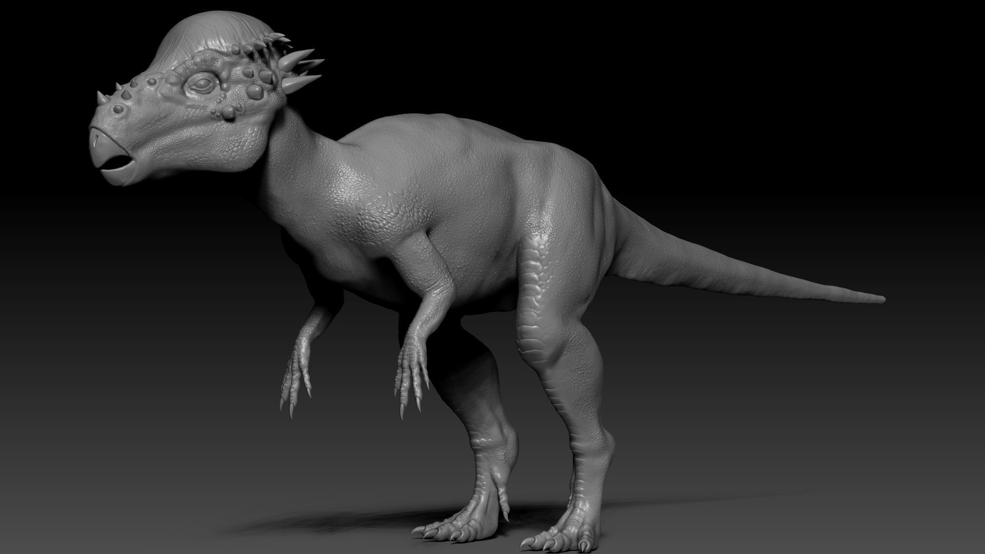 Dinosaur Pachycephalosaurus Sculpt Project 3D model_4
