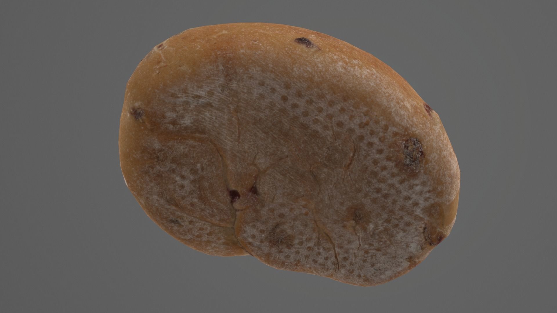 Cranberry Bread AR VR PBR Lowpoly with game ready 3d Model Low-poly 3D model_11