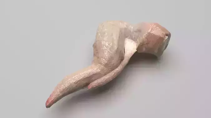 Chicken Wing 3D model