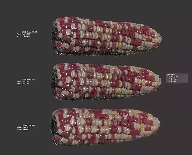 Corn  3D model 6