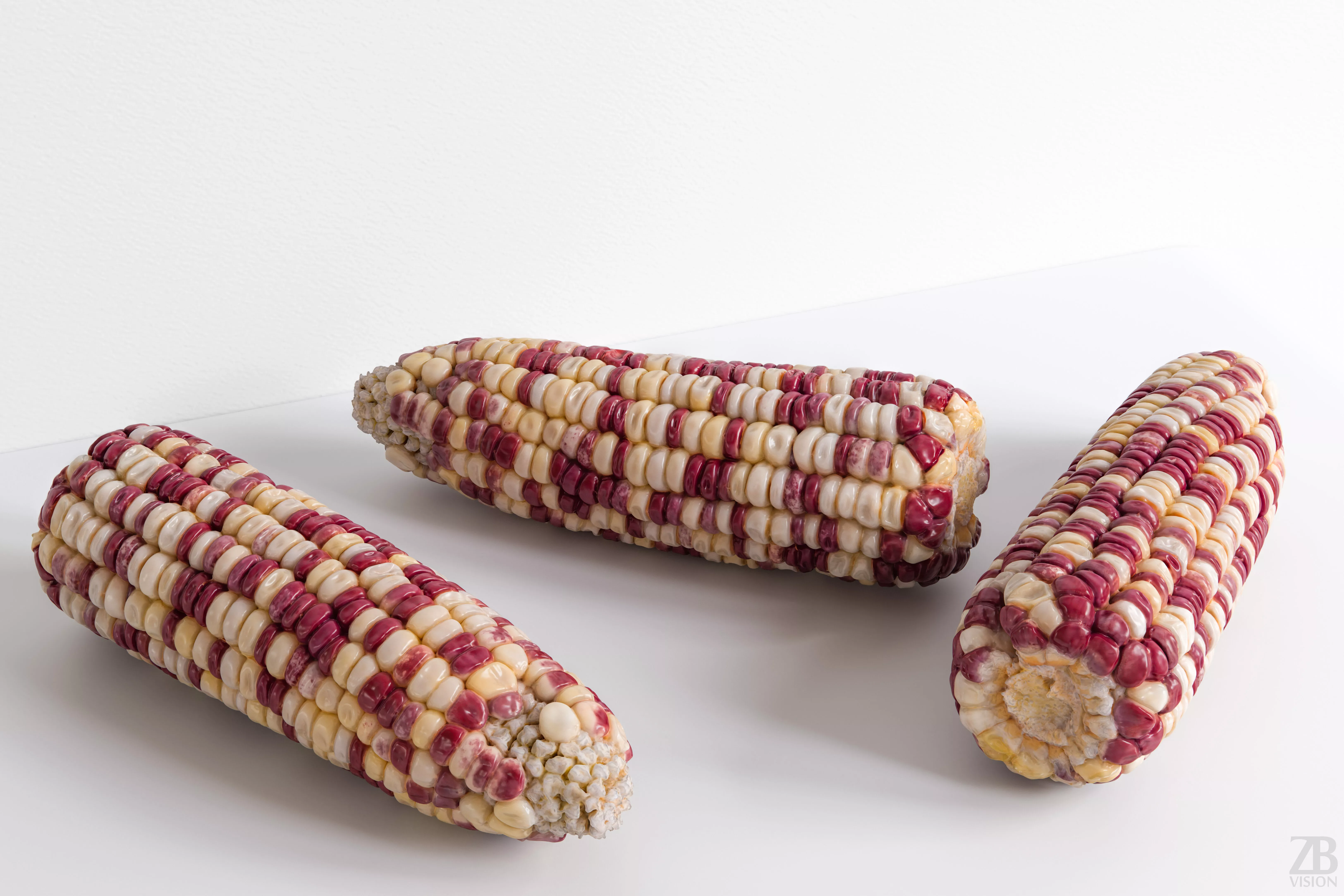 Corn 3D model