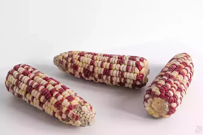 Corn 