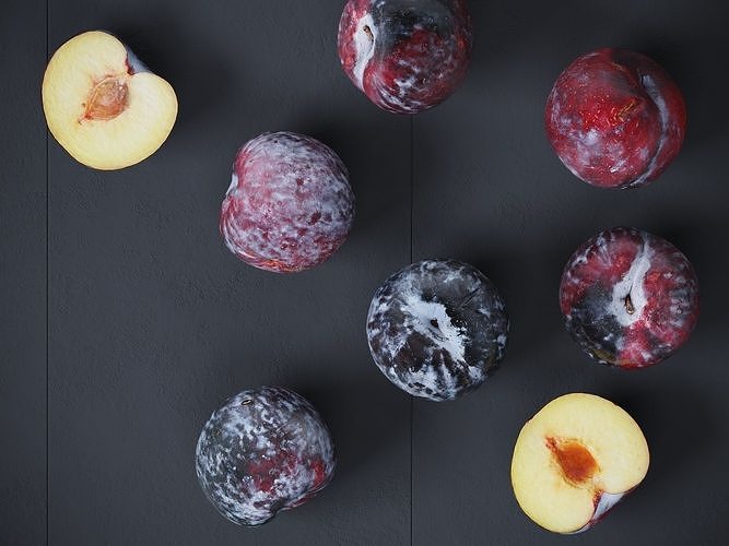 Black Plums   3D model 5