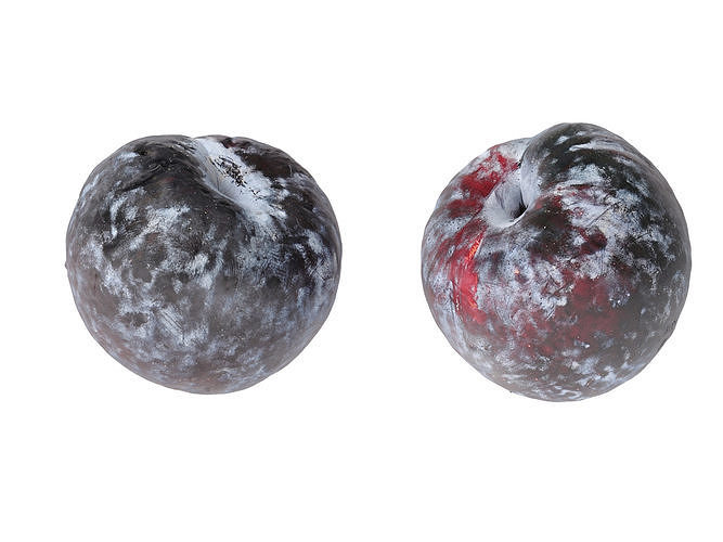 Black Plums   3D model 7