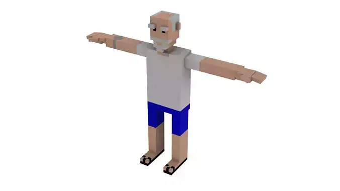 GRANDPA VOXEL CHARACTER