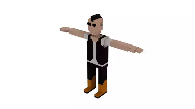 PUNK VOXEL CHARACTER Low-poly 3D model