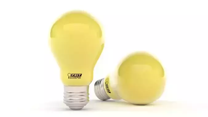 Light Bulb