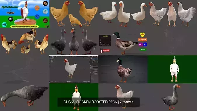 7 PACK OF DUCKS CHICKEN ROOSTER PACK 3D Model Collection