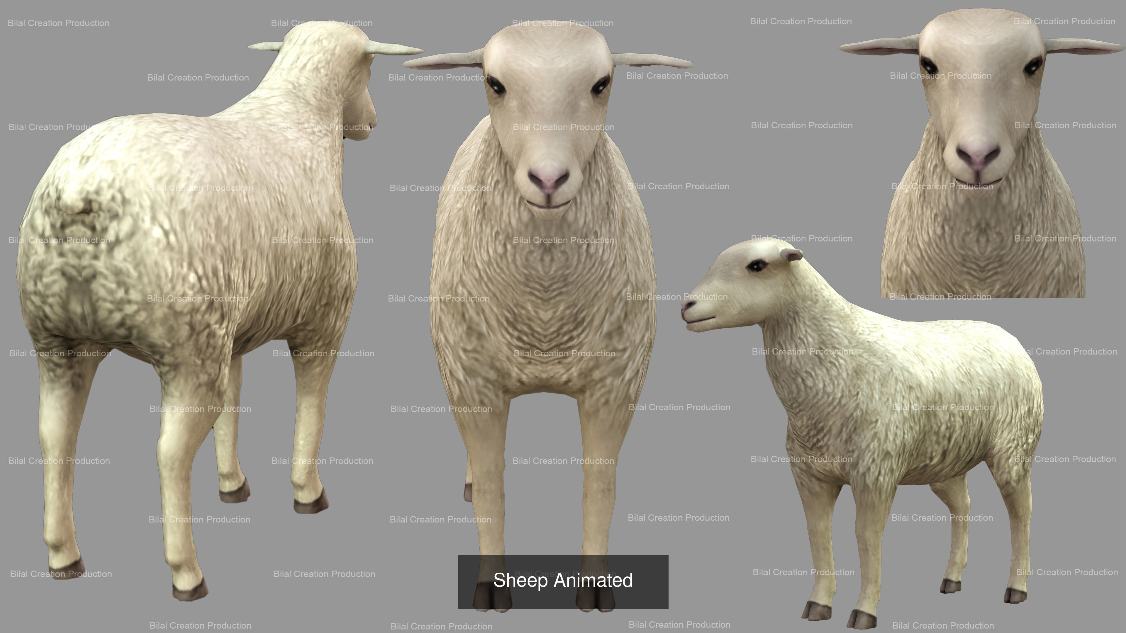 9 PACK OF COW GOAT CAMEL BUFALLO DEER HORSE DONKEY PACK 3D Model Collection_12