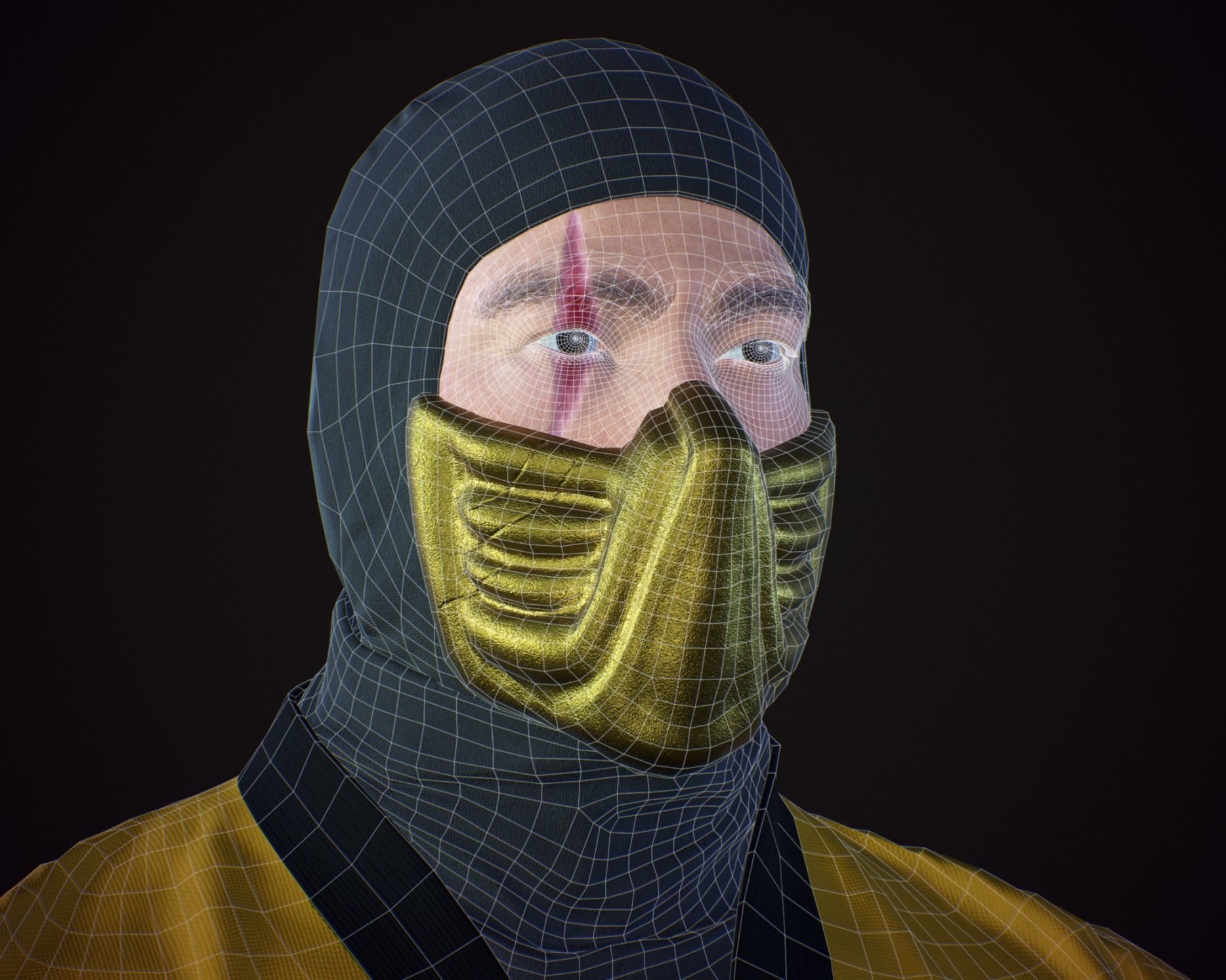 Ninja Color Pack Low-poly 3D model_18