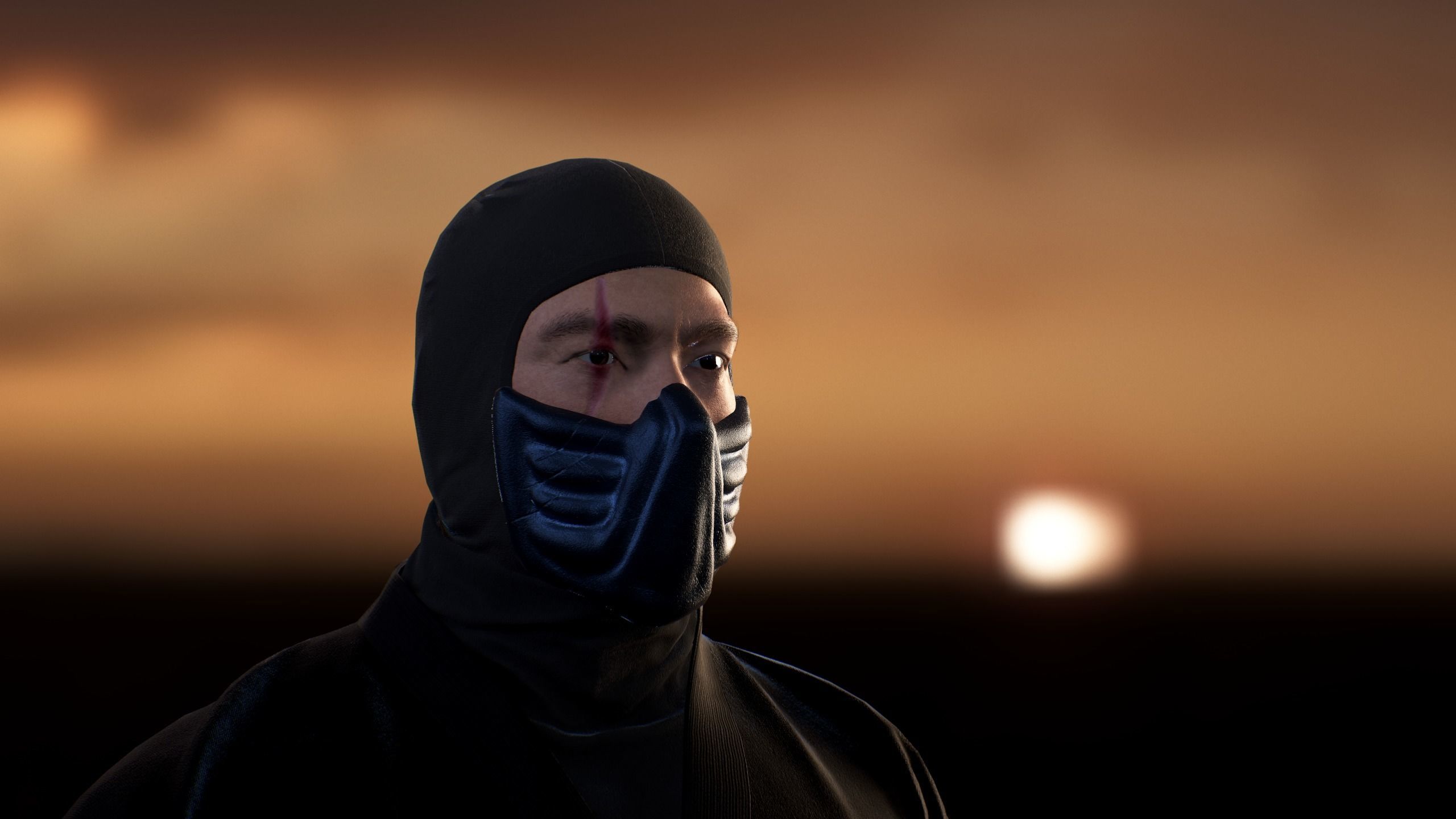 Ninja Color Pack Low-poly 3D model_5