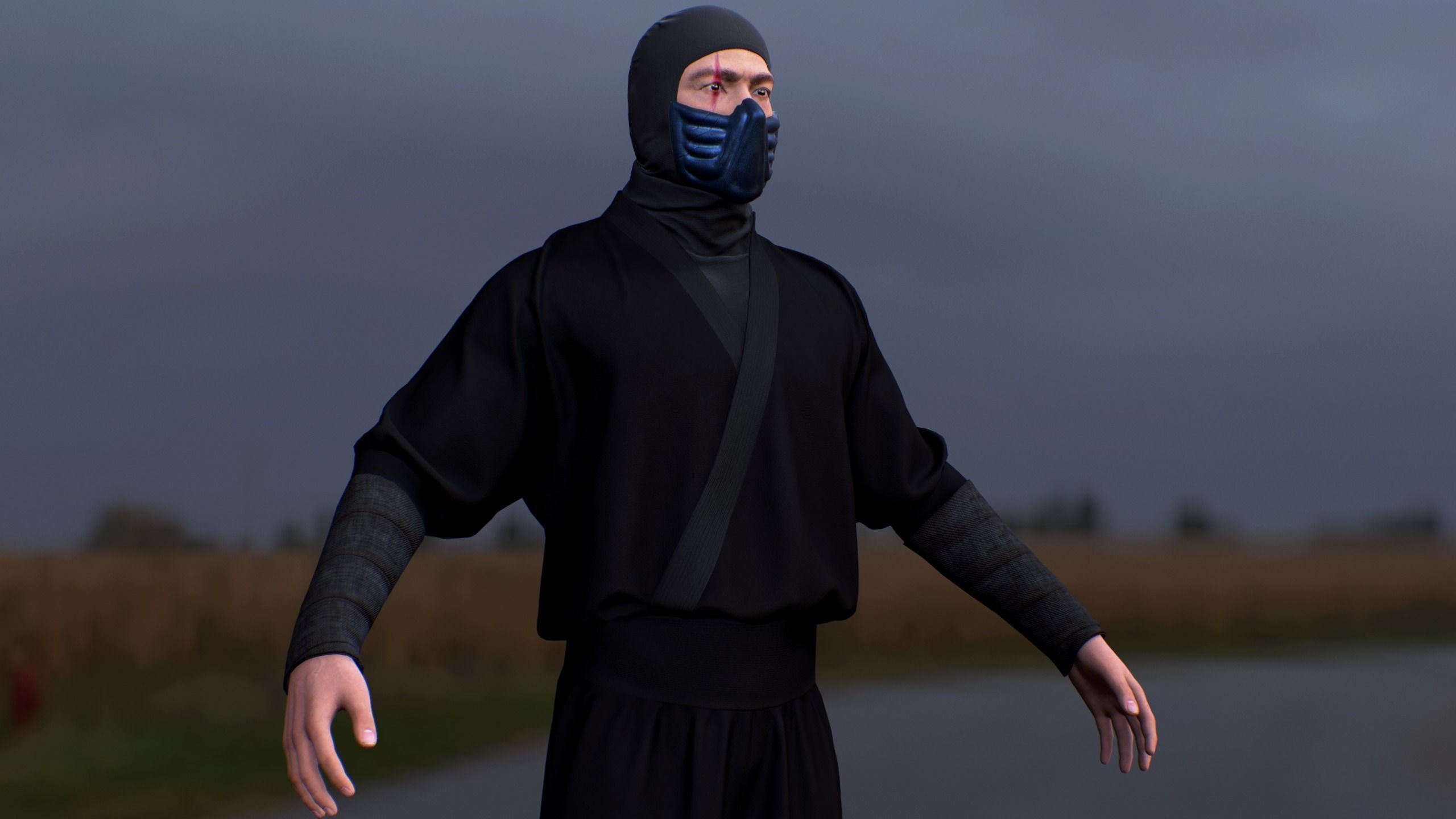 Ninja Color Pack Low-poly 3D model_4