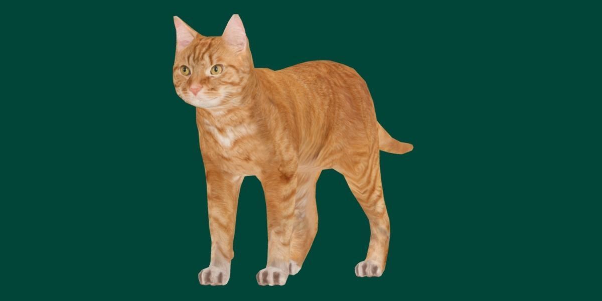 Ginger Cat Low-poly 3D model_4