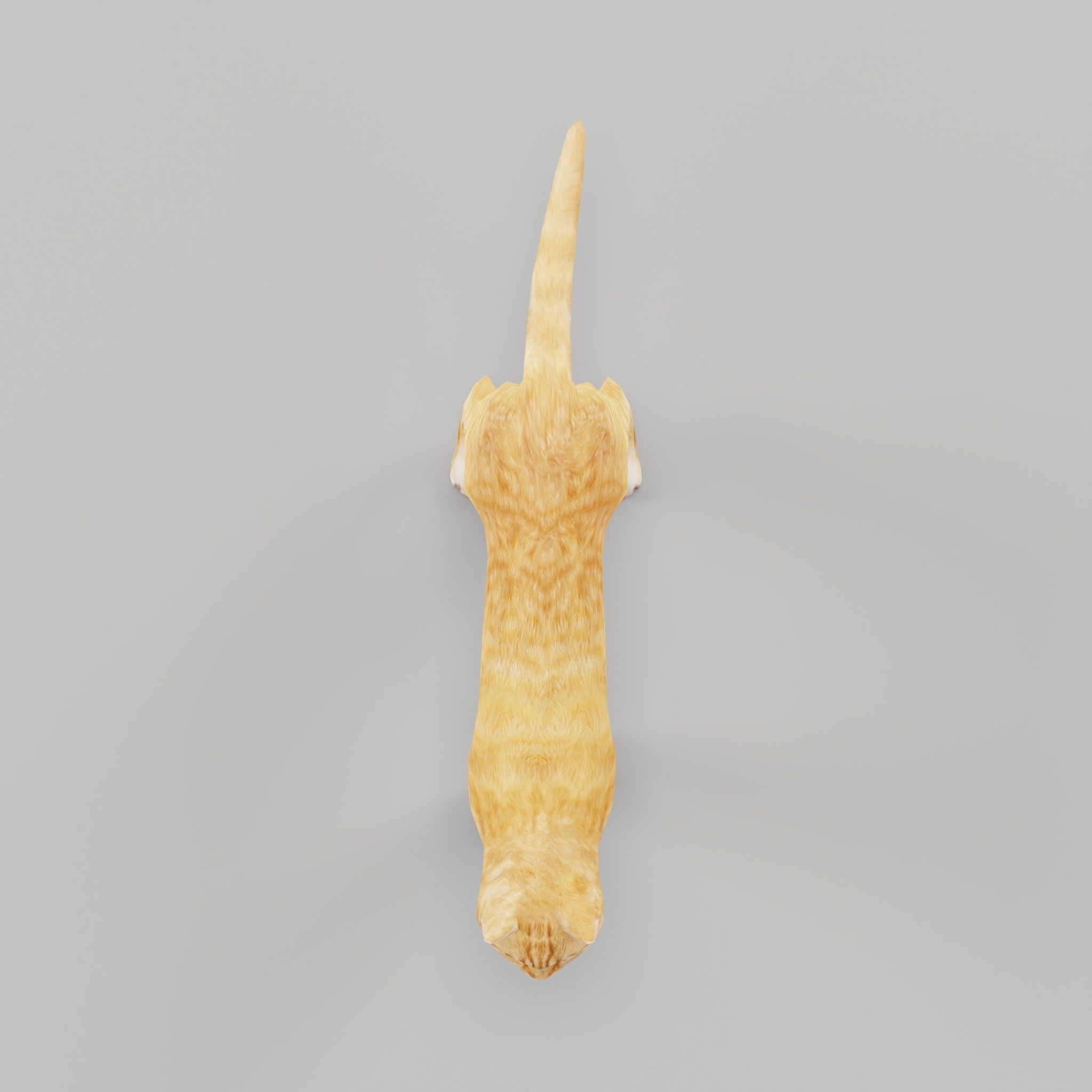 Ginger Cat Low-poly 3D model_13